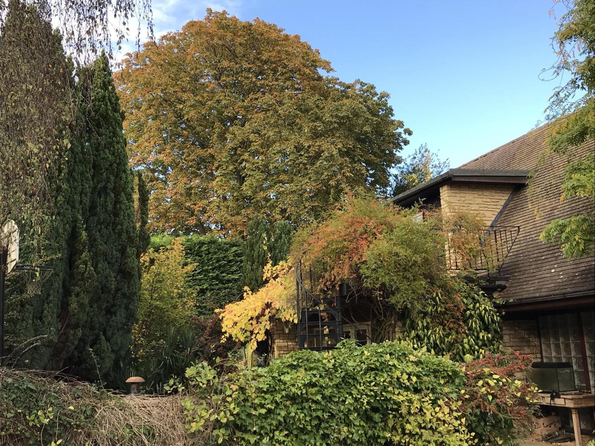 Sandford Meadow Guest House Kennington  Oda fotoğraf