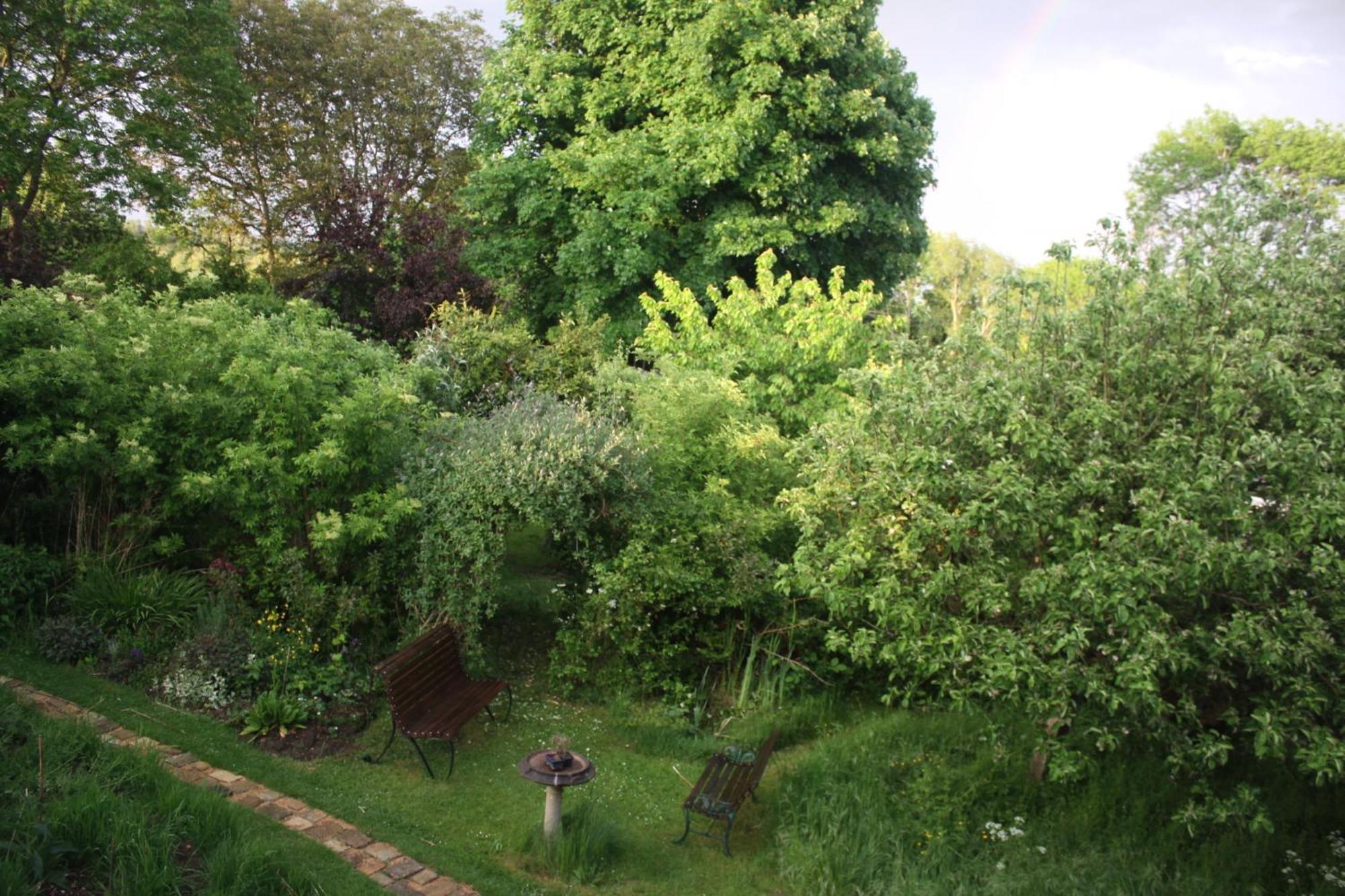 Sandford Meadow Guest House Kennington  Dış mekan fotoğraf