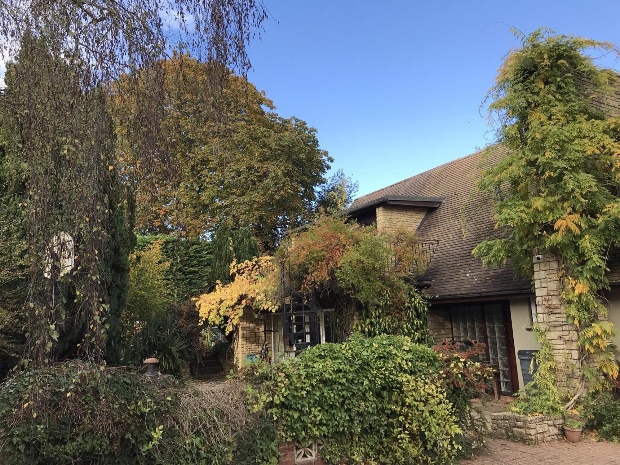 Sandford Meadow Guest House Kennington  Dış mekan fotoğraf